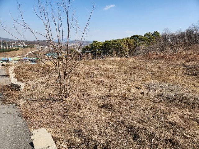 20240308_104346.jpg