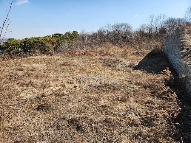 20240308_104343.jpg
