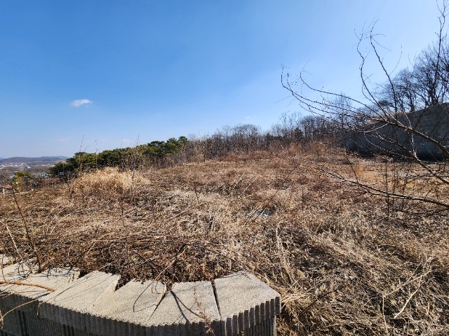 20240308_104331.jpg