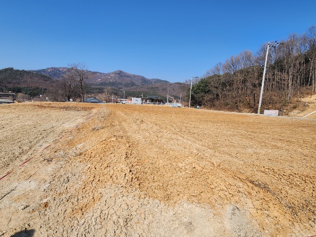 20240321_141730.jpg