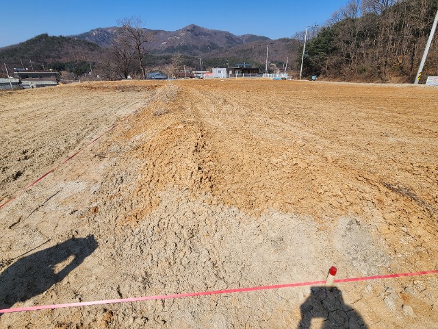 20240321_141728.jpg