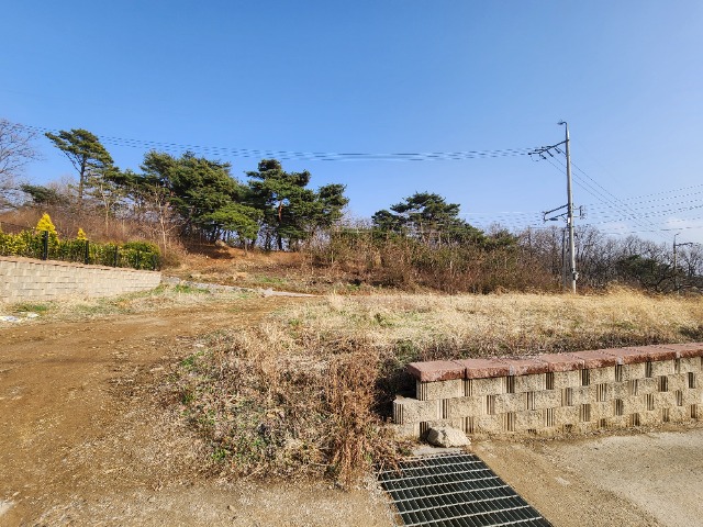 20240329_162738.jpg