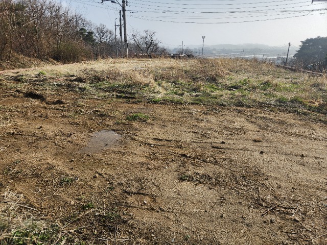 20240329_162818.jpg