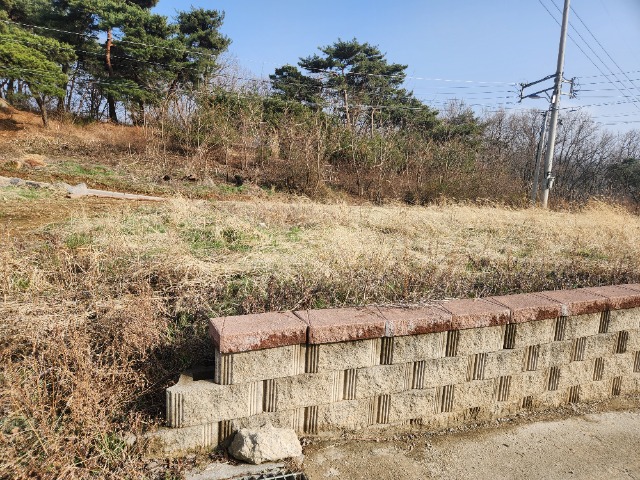 20240329_162927.jpg