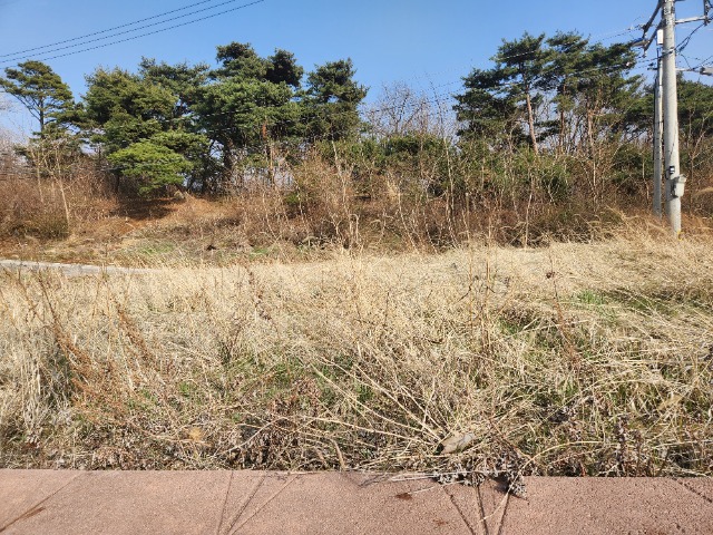 20240329_162958.jpg