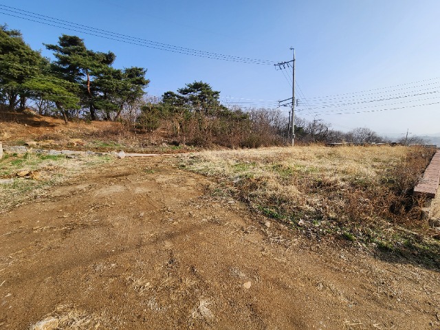 20240329_163028.jpg