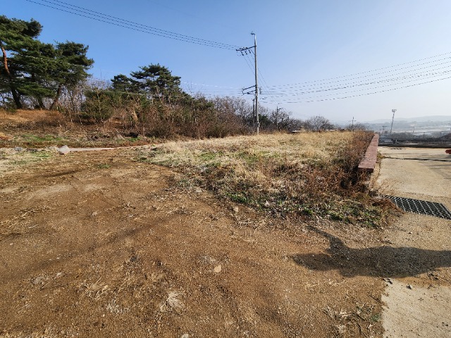 20240329_163030.jpg