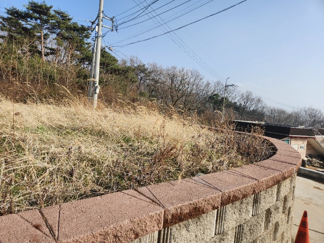 20240329_163003.jpg