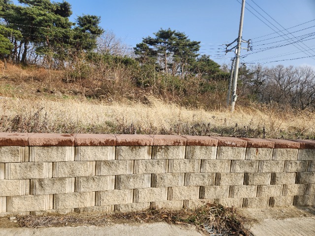 20240329_162937.jpg