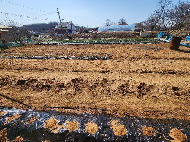 20240401_103330.jpg
