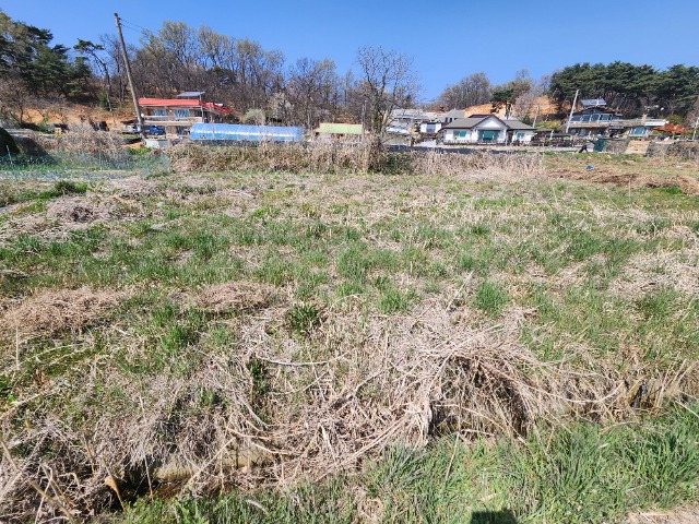 20240412_135510.jpg