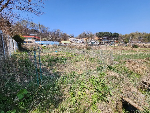 20240412_135603.jpg