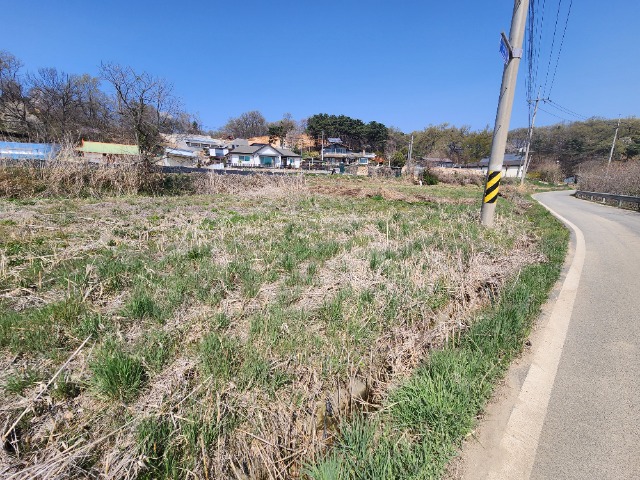 20240412_135507.jpg