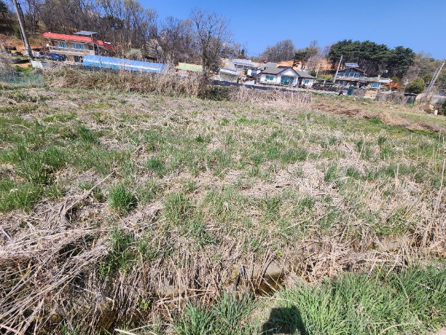 20240412_135505.jpg