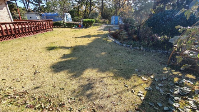 1667891257874.jpg