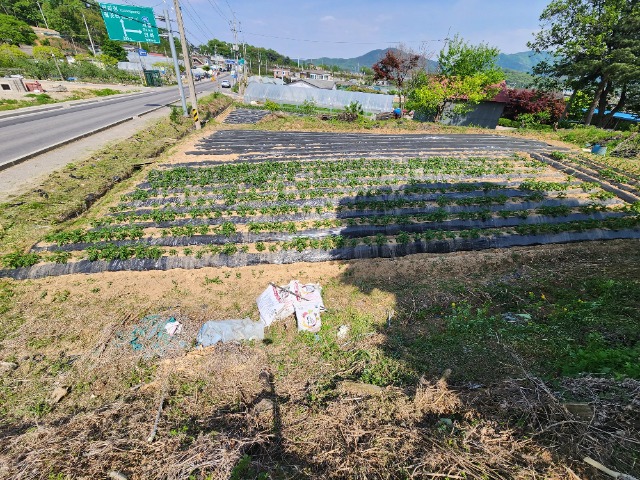 20240501_144507.jpg