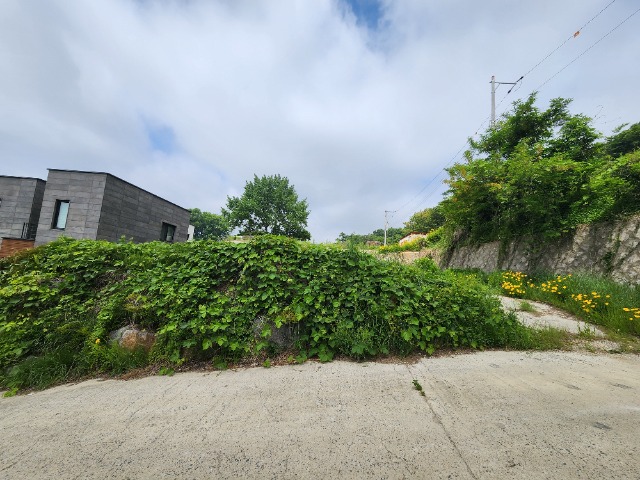 20240522_105104.jpg