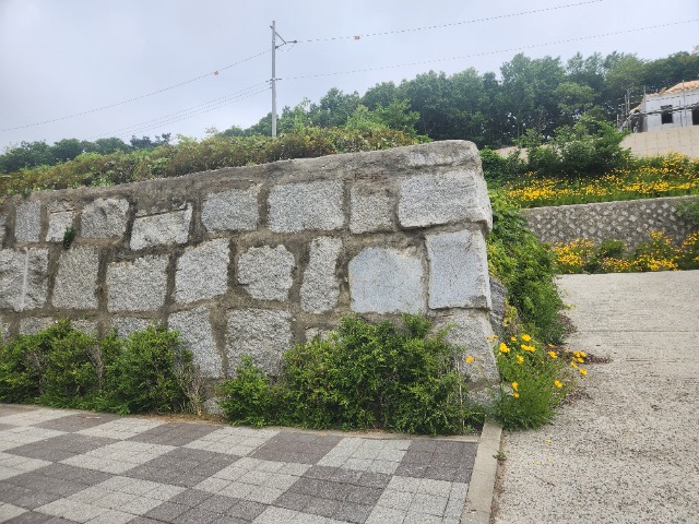 20240522_104811.jpg