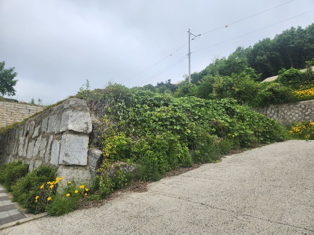 20240522_104819.jpg