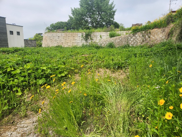 20240522_104911.jpg