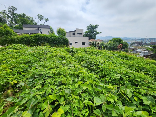 20240522_105015.jpg