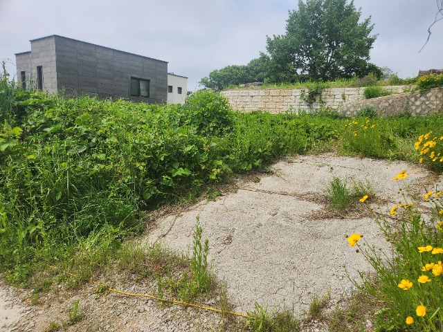 20240522_104854.jpg