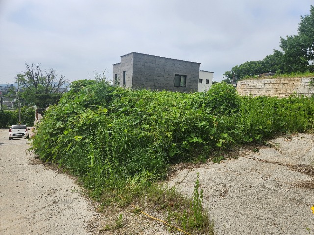 20240522_104851.jpg