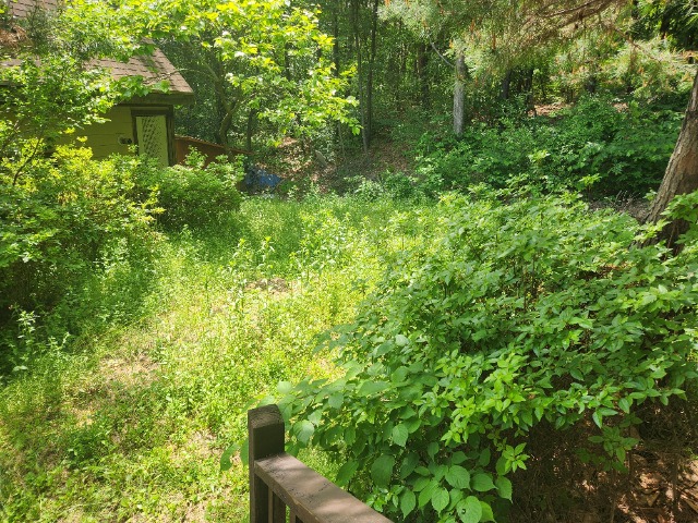 20240522_111722.jpg