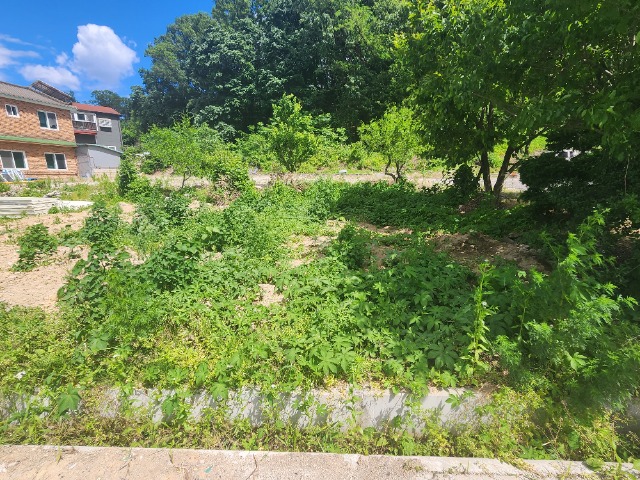 20240528_143123.jpg