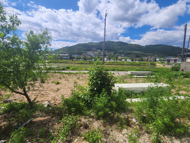 20240528_143205.jpg