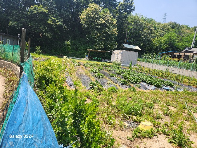 20240619_133151.jpg