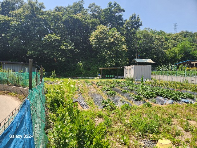 20240619_133208.jpg
