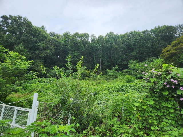 20240808_121912.jpg