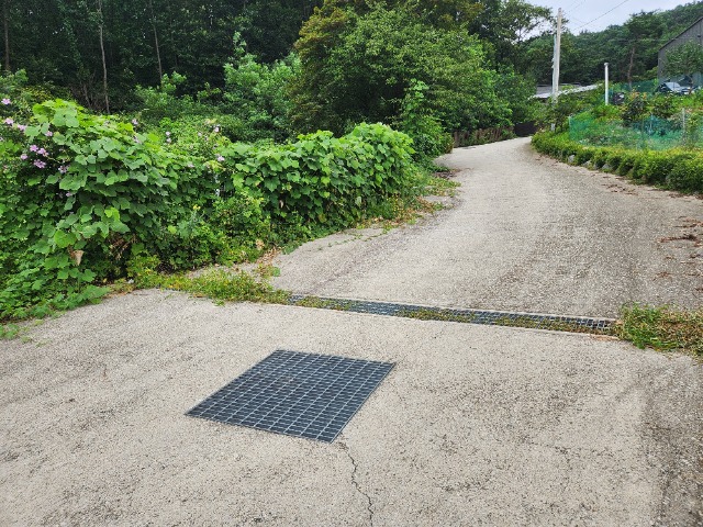 20240808_121935.jpg