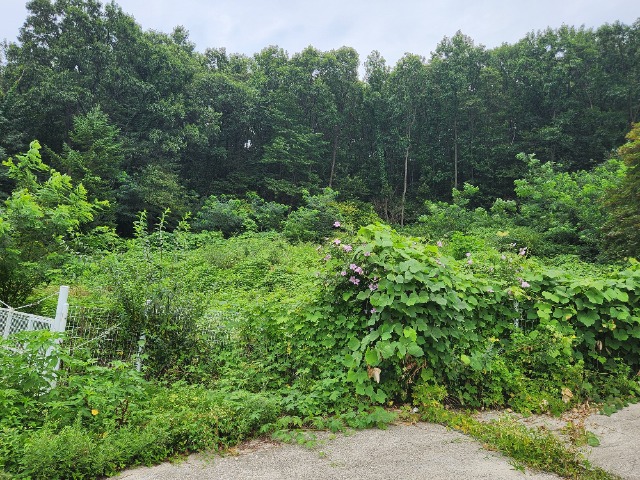 20240808_121943.jpg