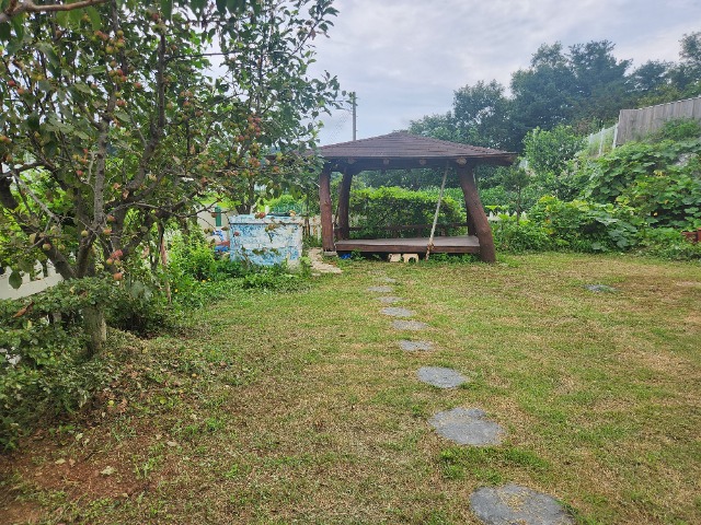 20240808_131609.jpg