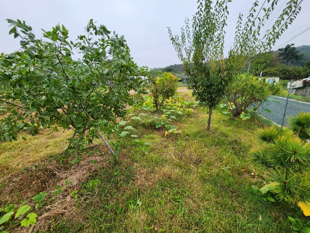 20241015_102712.jpg