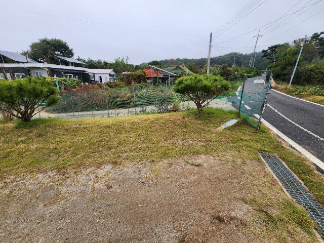 20241015_102646.jpg