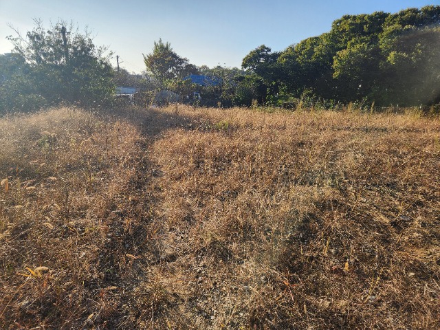 20241030_155305.jpg