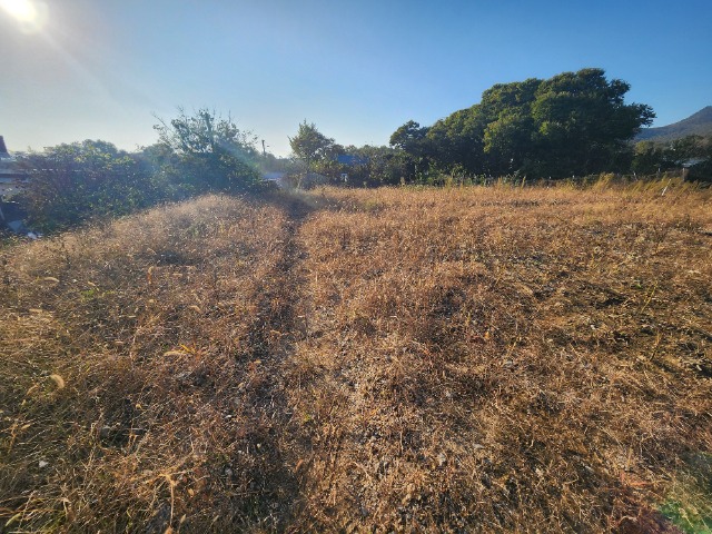 20241030_155320.jpg