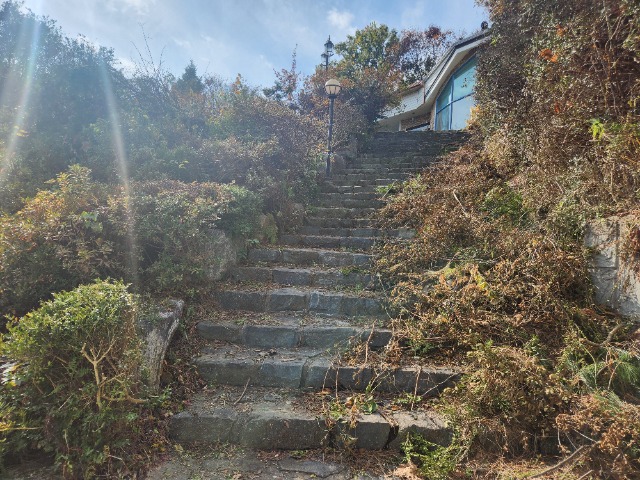 20241105_121654.jpg