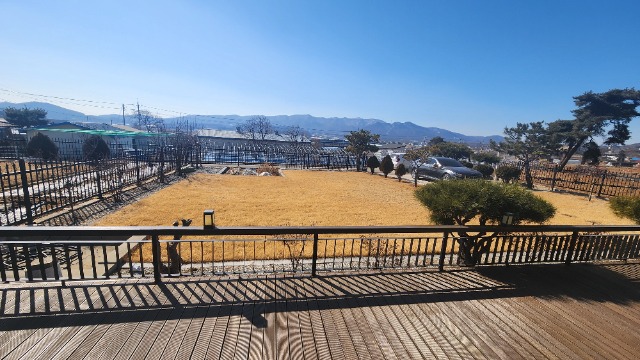 20250224_111452.jpg