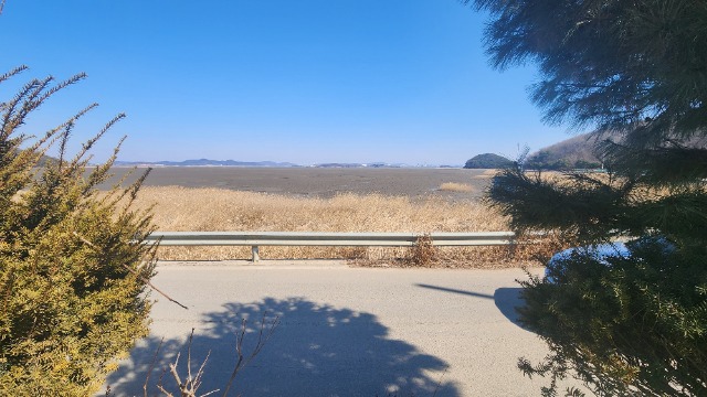 20250224_125439.jpg