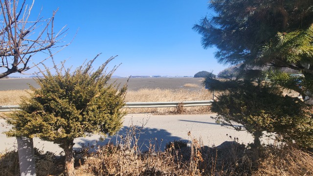 20250224_125432.jpg