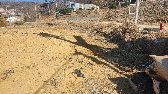 20250224_135511.jpg