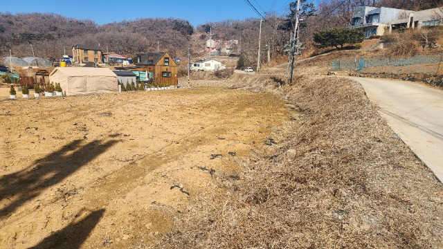 20250224_135423.jpg