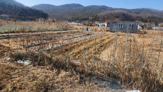 20250226_145616.jpg