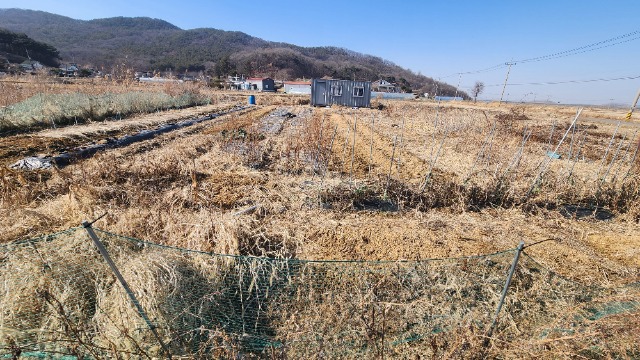 20250226_145540.jpg