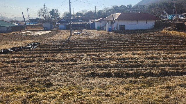 20250226_154420.jpg