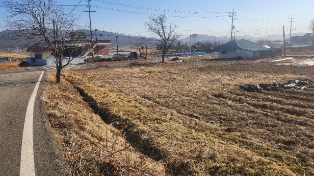 20250226_154425.jpg